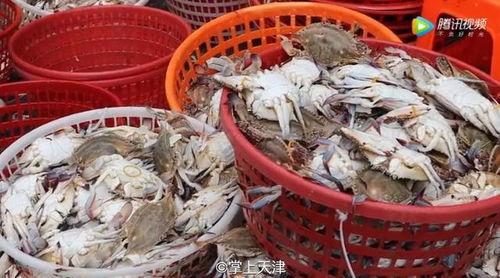 天津水产爆料事件最新,揭露海鲜市场惊人内幕,食品安全再引关注 第3张 天津水产爆料事件最新,揭露海鲜市场惊人内幕,食品安全再引关注 第3张